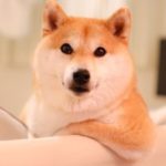 優太 さんのプロフィール写真